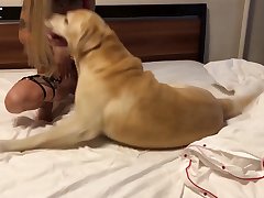 Dog Urged His Furry Body Fully Against The Backside Of