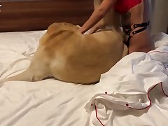 Dog Urged His Furry Body Fully Against The Backside Of