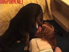 Egging Dog Cock On. Fuck Her Dog Cock She Said. To Which