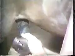 Guided His Cock Towards My Waiting Cunt. I Could Feel