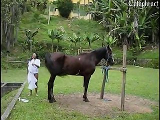 Is Animal Sex Legal
