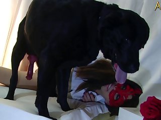 Zoo Porn Man Fuck Cow
