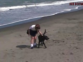 Animal Sex Seen