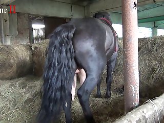 Kajal Xxx Xnxx