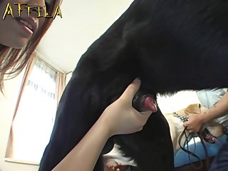 Zoophilie Hentai