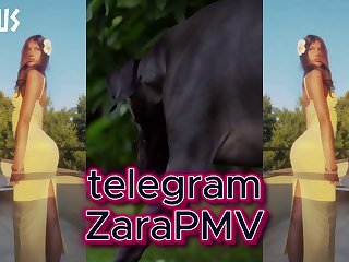 Zara Pnv