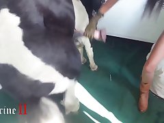 Myself Urging Him Fuck Mama Baby Fuck Mama