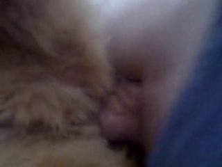 School Girl Fuck Dog Porn