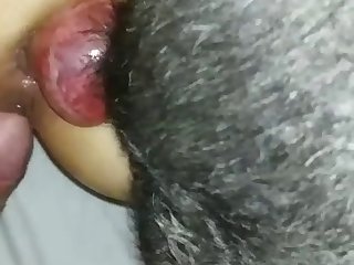 Amateur Wife Zoo Porn