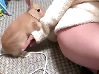 Farm Zoo Tube