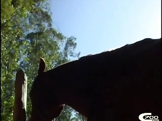 Sea Animal Zoo Porn