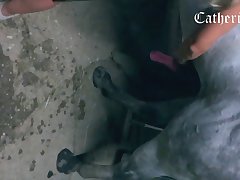 Much Better Than I Had Thought. He Licked His Cock And
