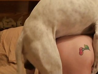 Mulher Transando Cachorro