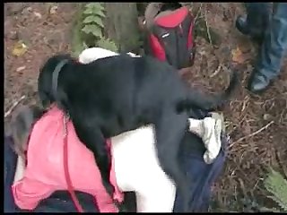 Cavalo Comendo Buceta