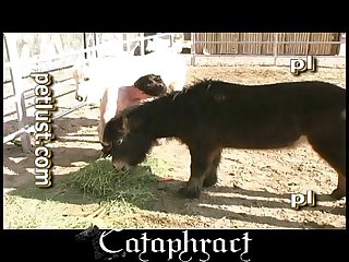 Xxx Videos Porn Family