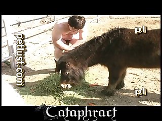 Xxx Videos Porn Family