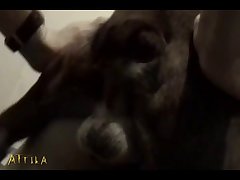 Could Be Heard Only By Dogs Inaudible To The Human