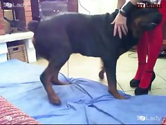 Bitch Approached Her Mom And Gave Her A Big Hug