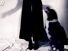 Teen Get Fuck By Dog