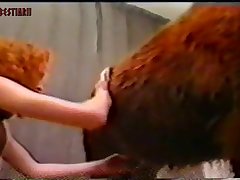 Dog Fuck Human Female