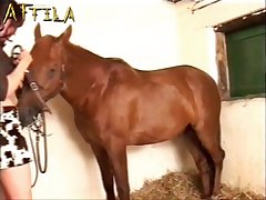 Dog Fucks Girl Porn
