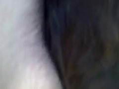 Porn Man Fucking Dog