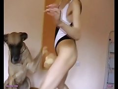 Bestiality Zoofilia Taboo