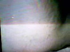 Porn Fucked By Horse