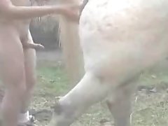 Zoofilia Zoo