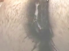 Zoofilia Zoo