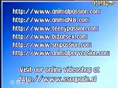 Dog Cumming In Pussy Porn