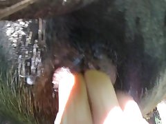 Girl Gives Dog Blowjob Porn