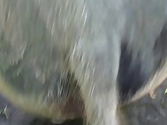 Girl Gives Dog Blowjob Porn