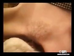 Newfoundland Dog Porn