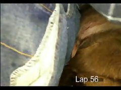 Animal Sex Abuse