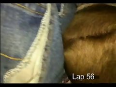 Animal Sex Abuse