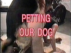 Animated Gay Animal Sex