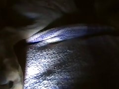 Girl With Horse Pussy Porn