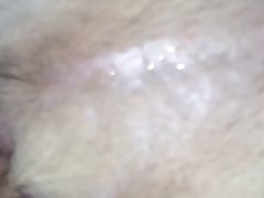 Girl Suck Dog Dick Porn