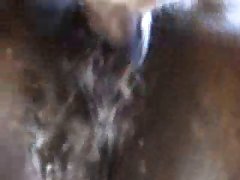 Lesbian Horse Strapon Porn