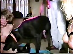 Teen Anal Dog Porn