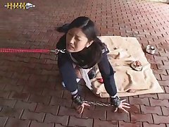 Video Zoofilia Perros