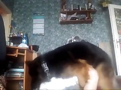 Dog Vr Porn
