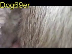 Los Mejores Videos De Zoofilia
