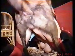 Come Here On Your Knees Bitch Yelled Mature Wife