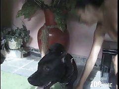 Forced Horse Porn