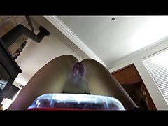 Sucking Horse Dick Porn