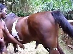 Sex horse Girl