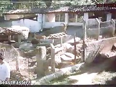 Dog Fucks Girl Porn Game