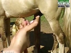 Dog Sex With Animal